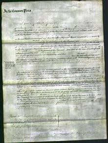 Court of Common Pleas - Margaret Pike-Original Ancestry