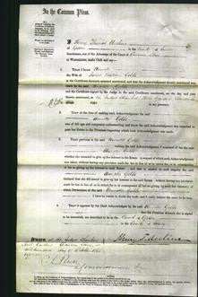 Court of Common Pleas - Annette Golds-Original Ancestry