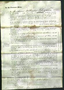 Court of Common Pleas - Jemima Sophia Spokes, Ann Bromwich-Original Ancestry