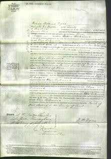 Court of Common Pleas - Eliza Richmond-Original Ancestry