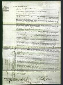 Court of Common Pleas - Ann Moore-Original Ancestry