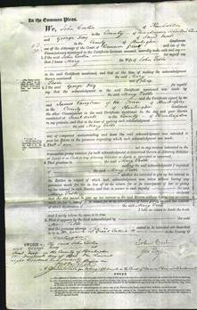 Court of Common Pleas - Mary Tebbs-Original Ancestry