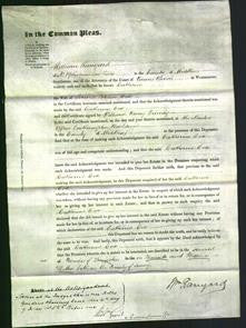 Court of Common Pleas - Catherine Cox-Original Ancestry