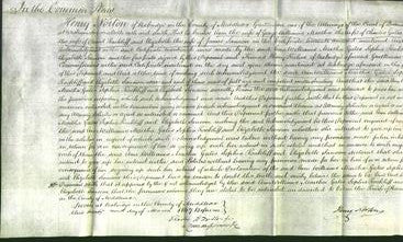 Court of Common Pleas - Ann WIlliams, Martha Galls, Sophia Rackliff and Elizabeth Sansom-Original Ancestry