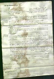 Court of Common Pleas - Louisa Craddock-Original Ancestry