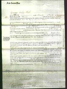 Court of Common Pleas - Jane Holmes-Original Ancestry