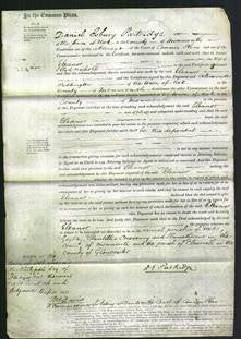 Court of Common Pleas - Eleanor Nicholl-Original Ancestry