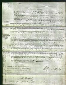 Court of Common Pleas - Mary Taylor, Sarah Thacker and Dorothy Richardson-Original Ancestry