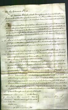 Court of Common Pleas - Sarah Stevenson-Original Ancestry