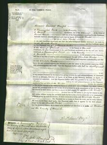 Court of Common Pleas - Charlotte Hinks-Original Ancestry