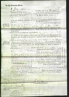 Court of Common Pleas - Judith Jones-Original Ancestry