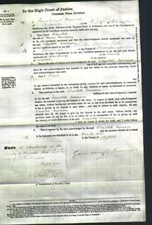 Court of Common Pleas - Elizabeth Newnam-Original Ancestry