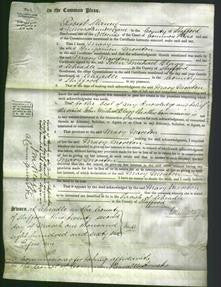 Court of Common Pleas - Mary Moreton-Original Ancestry