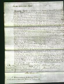 Court of Common Pleas - Elizabeth Skinner-Original Ancestry