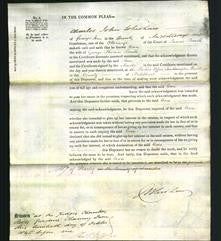 Court of Common Pleas - Ann Smith-Original Ancestry