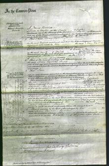 Court of Common Pleas - Mary Elizabeth Small-Original Ancestry
