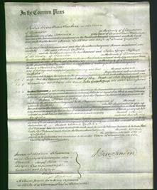 Court of Common Pleas - Maria Griffiths-Original Ancestry