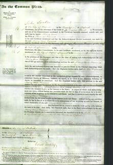 Court of Common Pleas - Mary Ann Barnes-Original Ancestry