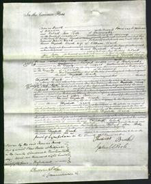 Court of Common Pleas - Elizabeth Brock-Original Ancestry