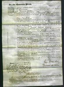 Court of Common Pleas - Rebecca Ann Emett-Original Ancestry