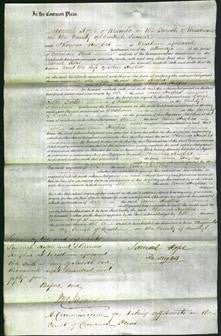 Court of Common Pleas - Ann Hughes-Original Ancestry