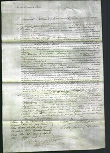 Court of Common Pleas - Barbara Buckland-Original Ancestry