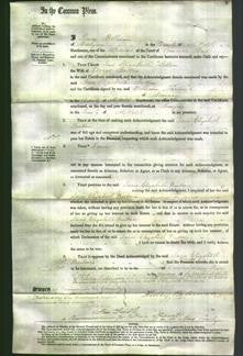 Court of Common Pleas - Jane Elizabeth Button-Original Ancestry
