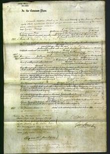 Court of Common Pleas - Elizabeth Rispin-Original Ancestry