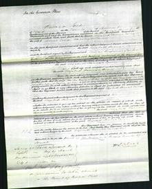 Court of Common Pleas - Elizabeth Hannah Carew-Original Ancestry