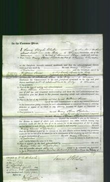 Court of Common Pleas - Mary Knox Kesterton-Original Ancestry