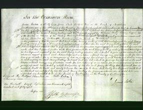 Court of Common Pleas - Mary Molling-Original Ancestry