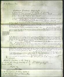 Court of Common Pleas - Emma Adcock-Original Ancestry