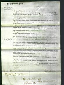 Court of Common Pleas - Mary Owen-Original Ancestry