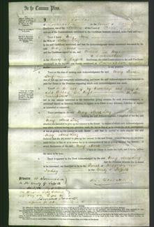 Court of Common Pleas - Mary Anne Ling-Original Ancestry