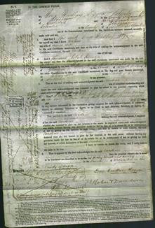 Court of Common Pleas - Caroline Still-Original Ancestry