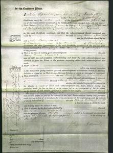 Court of Common Pleas - Mary Anne Frances Wynne-Original Ancestry