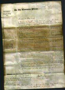 Court of Common Pleas - Ann Stobbs-Original Ancestry