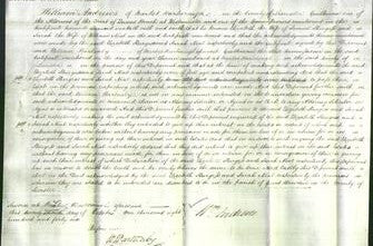 Court of Common Pleas - Elizabeth Sturgess and Sarah Neal-Original Ancestry