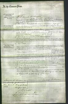 Court of Common Pleas - Margaret Jeffreys-Original Ancestry