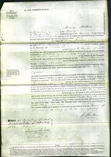 Court of Common Pleas - Mary Mortimer-Original Ancestry