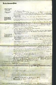 Court of Common Pleas - Mary Ann Donohue-Original Ancestry