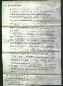 Court of Common Pleas - Eliza Ann Andrews-Original Ancestry