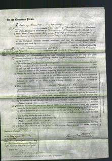 Court of Common Pleas - Hannah Chinnock-Original Ancestry