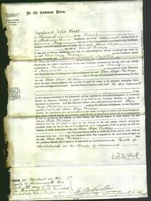 Court of Common Pleas - Ann Eliza Phillips-Original Ancestry