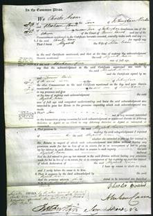 Court of Common Pleas - Elizabeth Evans-Original Ancestry