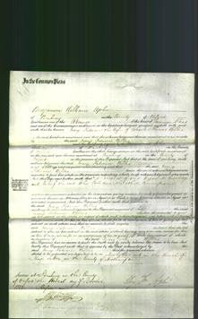 Court of Common Pleas - Mary Patience Willes-Original Ancestry