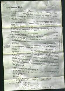 Court of Common Pleas - Jemima Sophia Spokes, Ann Bromwich-Original Ancestry