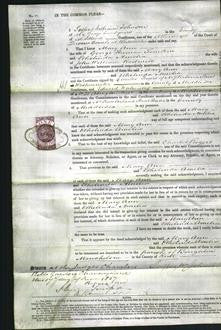 Court of Common Pleas - Mary Ann Tomkin and Ethelinda Amelia Rodwell-Original Ancestry