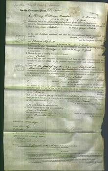 Court of Common Pleas - Jane Soskitt-Original Ancestry
