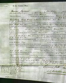 Court of Common Pleas - Ruth Hewilt, Sarah Pendleton and Jane Derbyshire-Original Ancestry